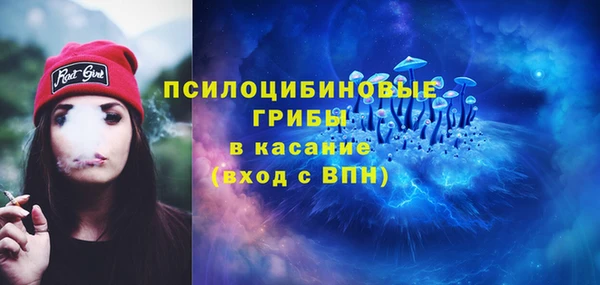 MDMA Горнозаводск