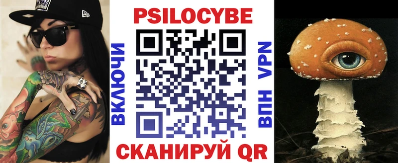 Псилоцибиновые грибы Psilocybe  Купить  Бабушкин 